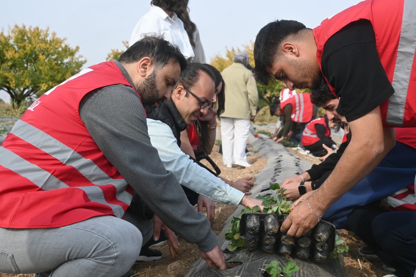 Malatya&rsquo;da &ccedil;ilek yetiştiriciliğinde hibe destekli proje başladı

