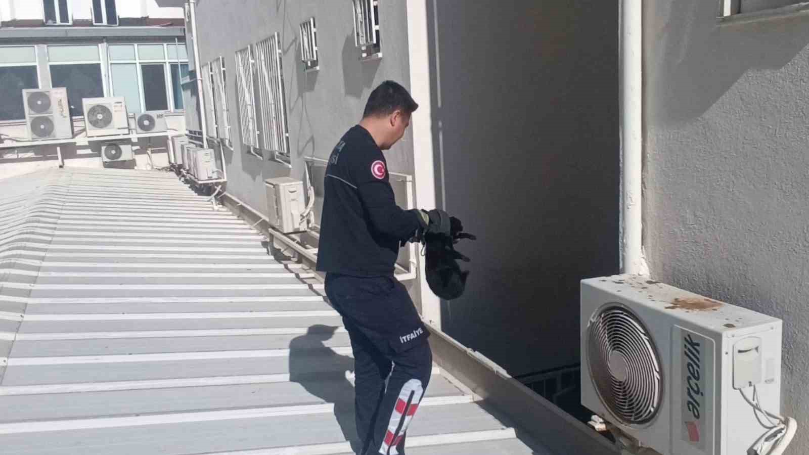 Çatıda mahsur kalan kediyi itfaiye kurtardı
