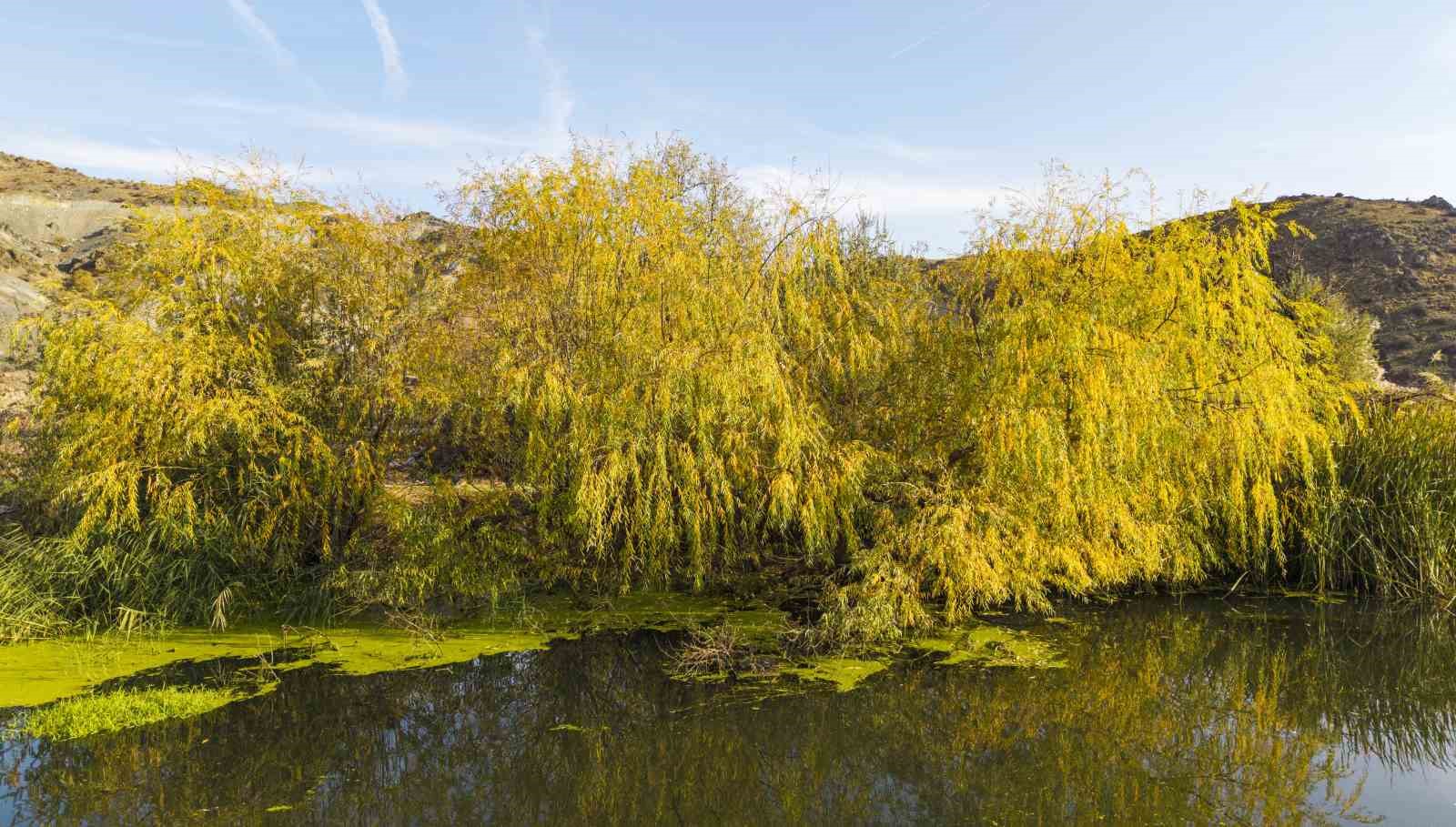 Kırıkkale’de sonbahar güzelliği
