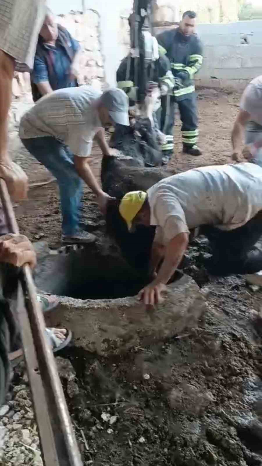 Kuyuya düşen ineği itfaiye kurtardı