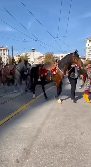 Şehir merkezinde gezdirilen atlar vatandaşları meraklandırdı