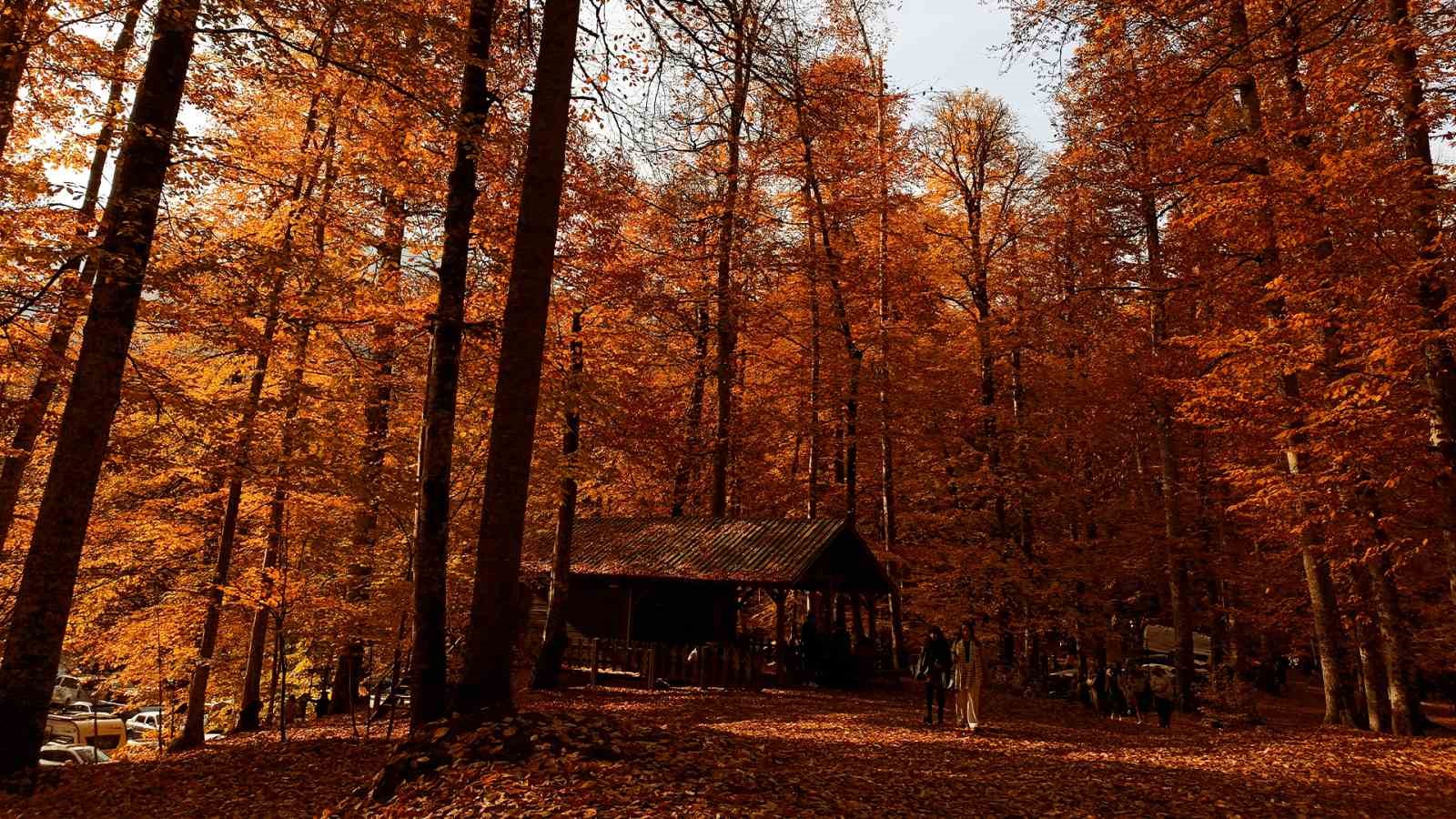 Yedigöller Milli Parkı ziyaretçi akınına uğradı