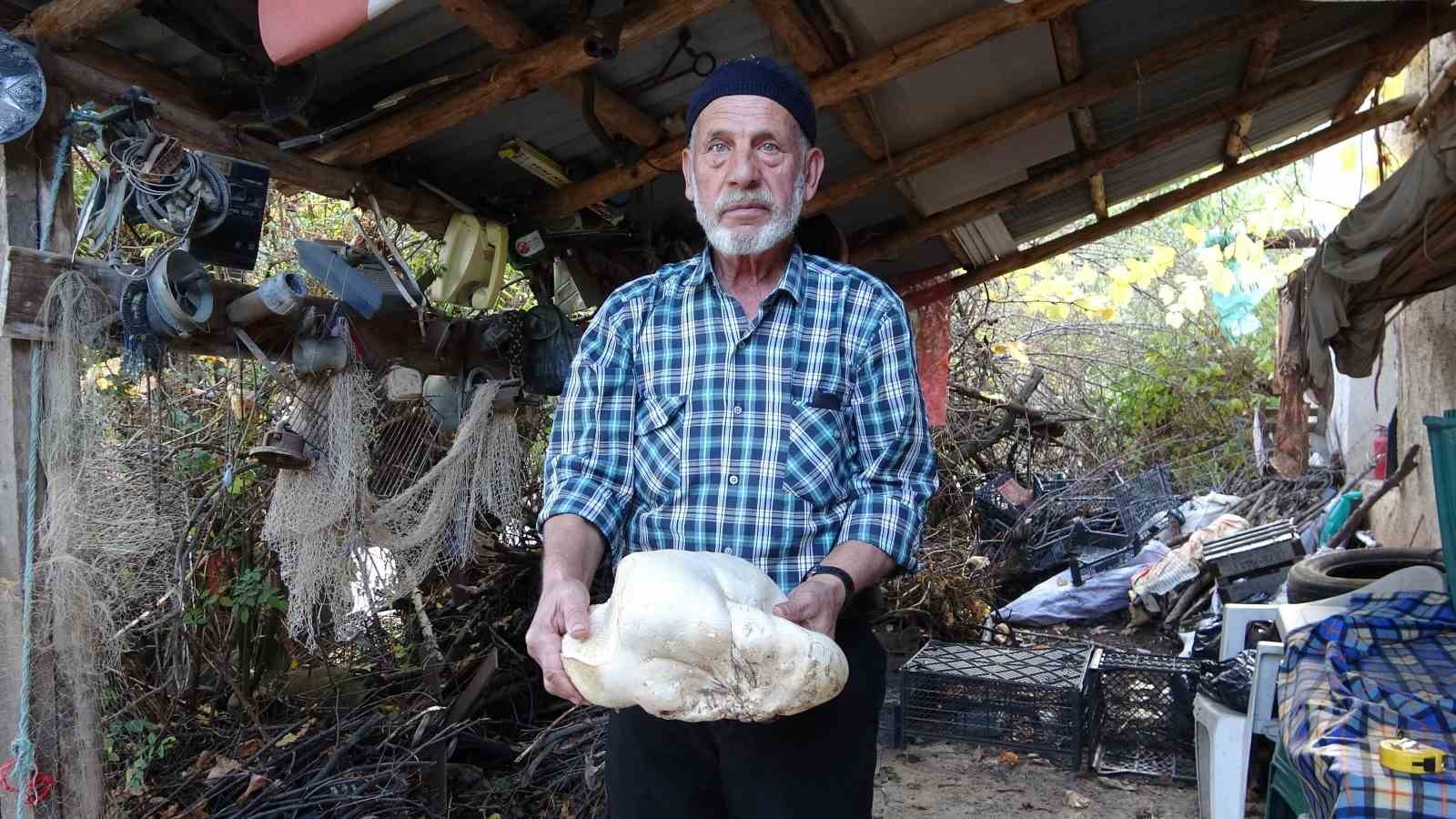 Kütahya’da 3 kilo dev mantar bulundu
