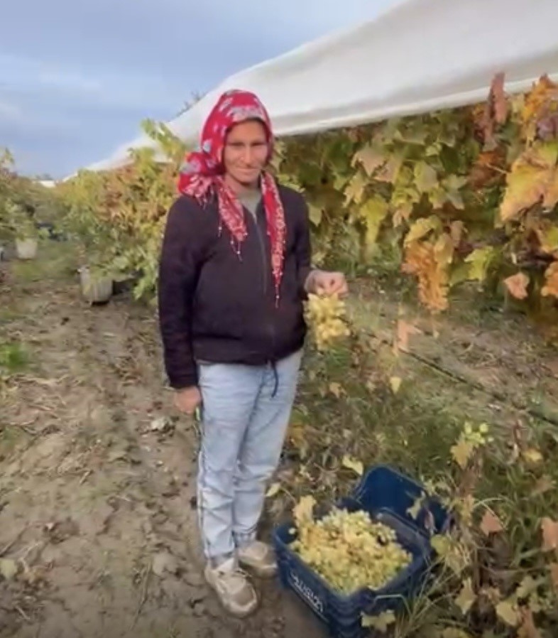 Bağlarda siren sesi yankılandı
