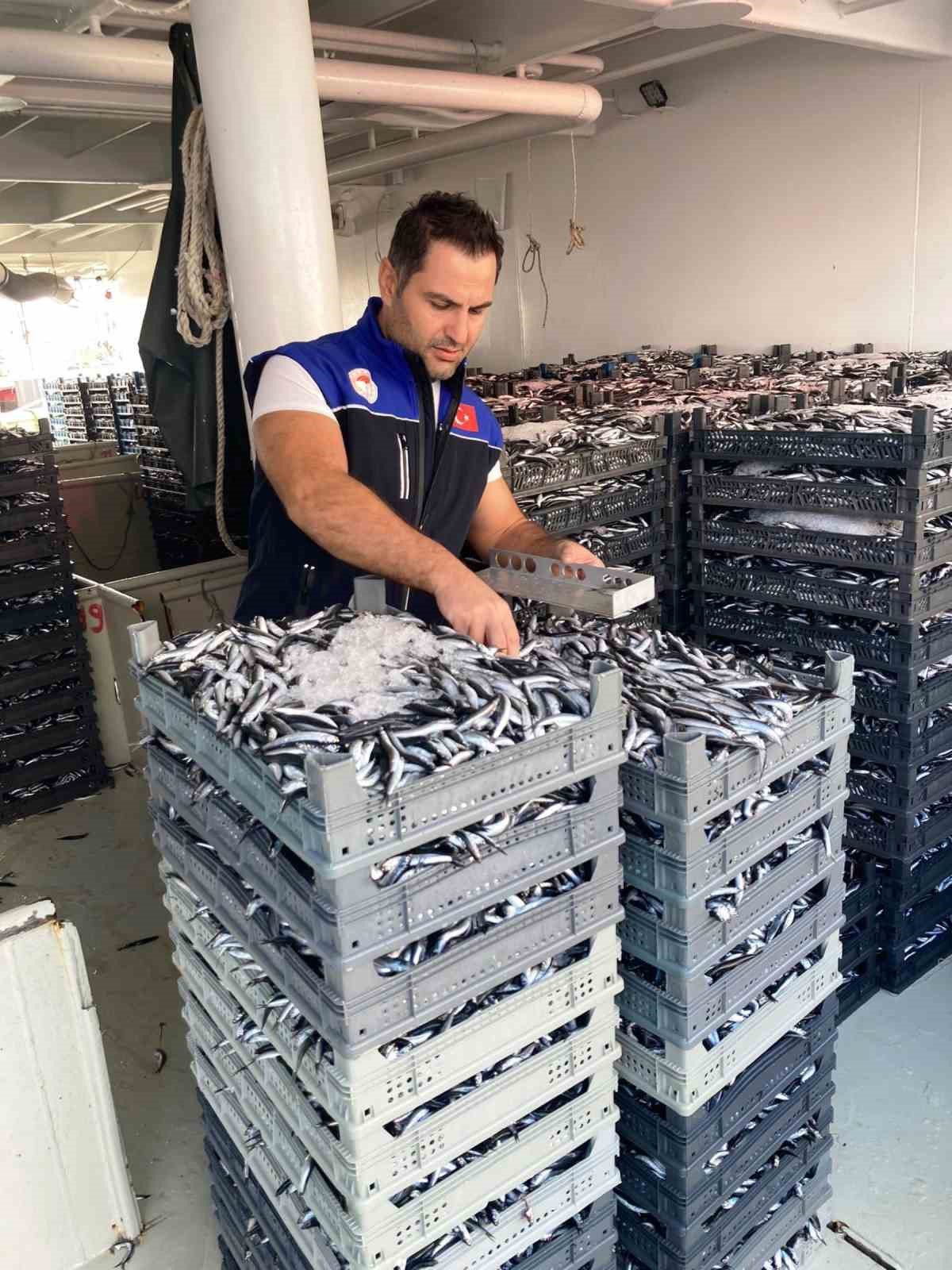 Samsun’da 1 milyon 843 bin 550 kilo hamsi denetlendi
