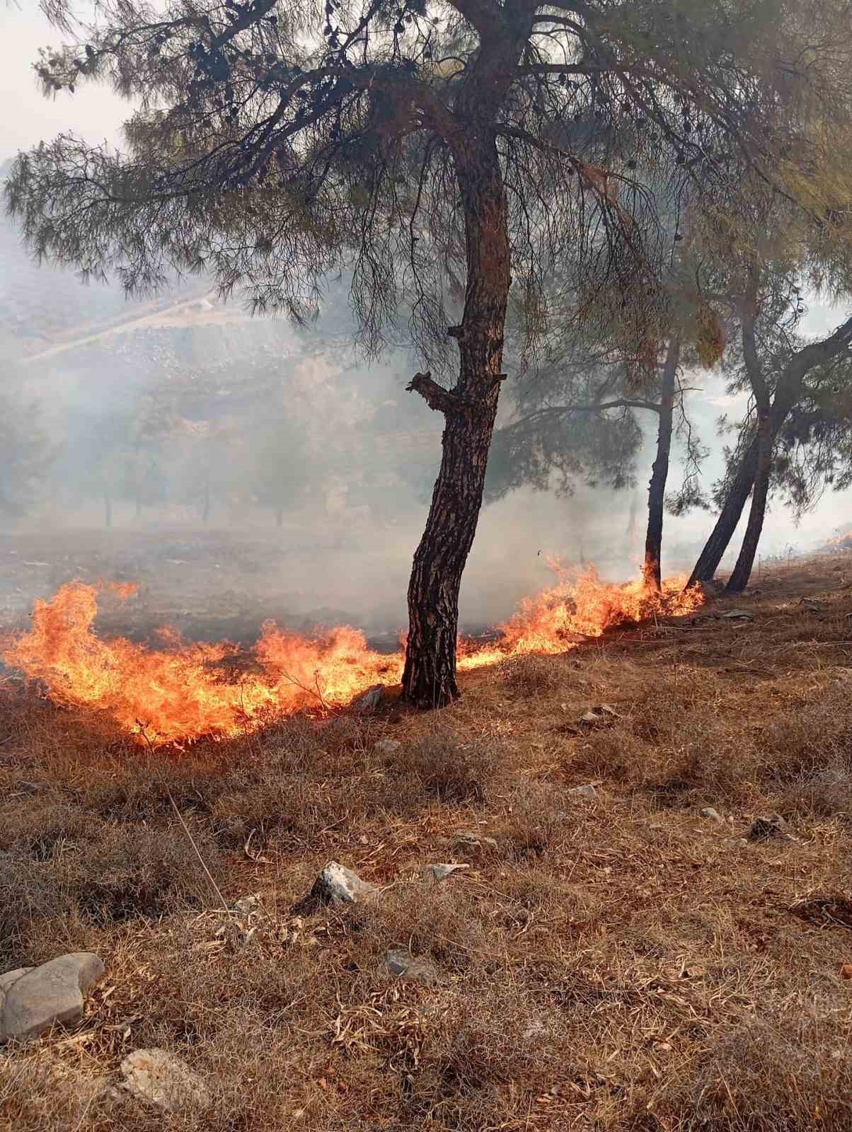 Antakya&rsquo;da orman yangını
