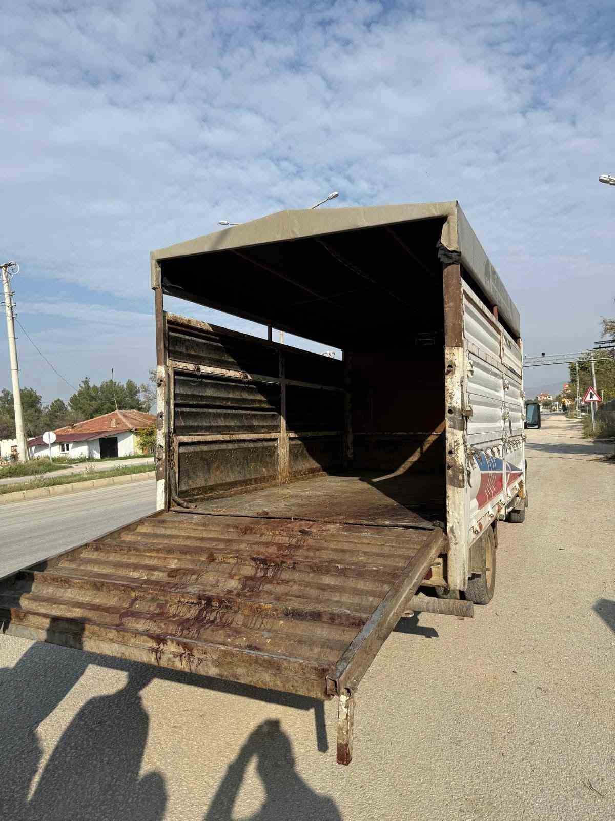 Denizli’de şap hastalığına karşı tedbirler arttırıldı
