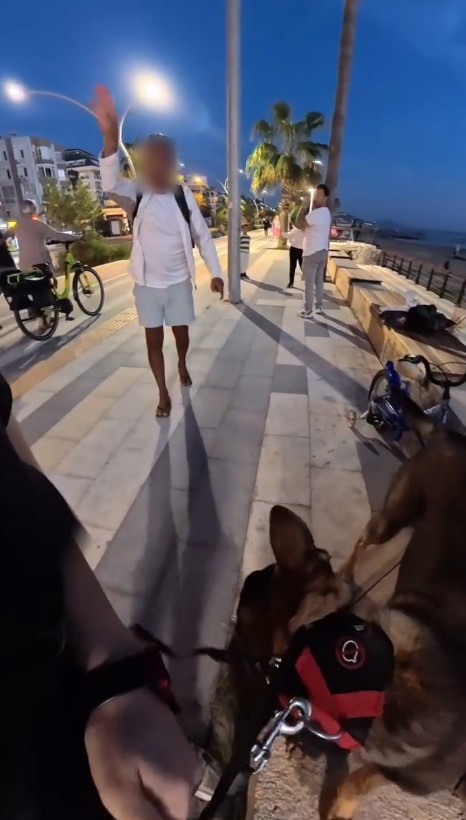 Bankta köpeğiyle oturan yerleşik yabancı kız çocuğu hayatının şokunu yaşadı