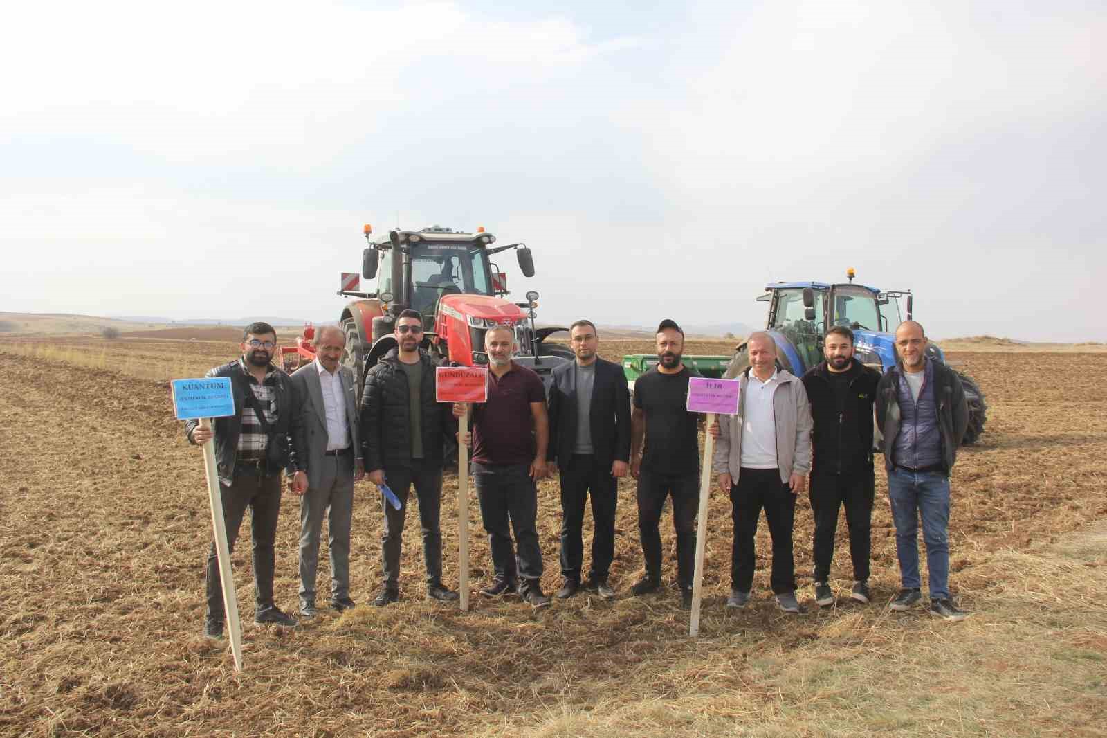Sivas’ta 5 farklı ekmeklik buğday, pilot bölgede toprakla buluşturuldu