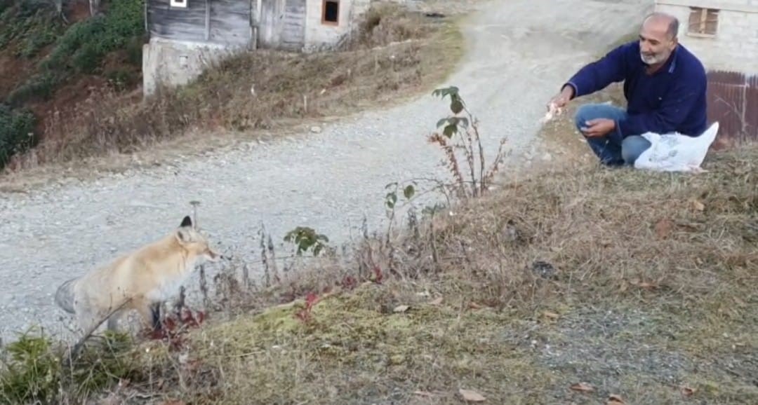 Pimbilona Yaylası’nda sıra dışı dostluk