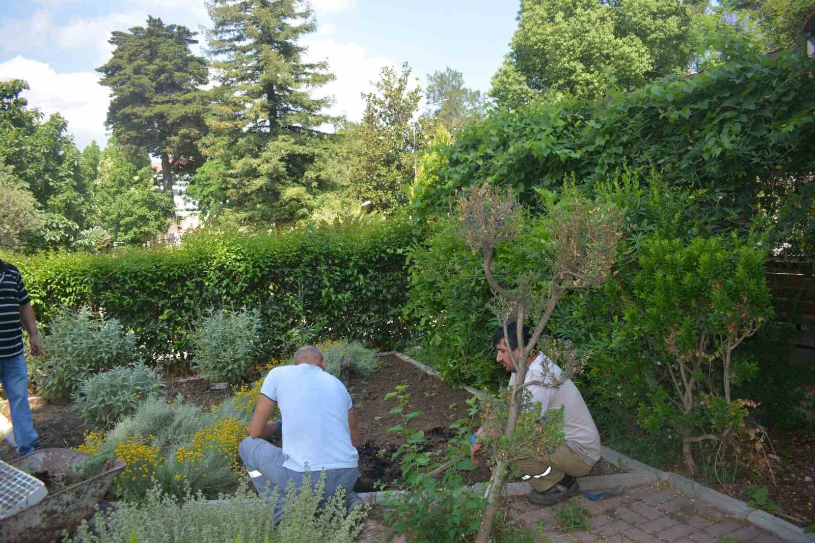 Ege Üniversitesinin endemik tür cenneti: Botanik Bahçesi