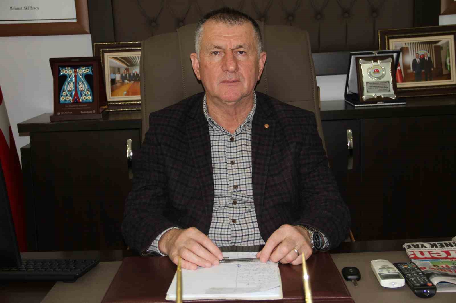 Verimli topraklar ağaçlarla kaplanıyor: Çarşamba Ovası tarımdan uzaklaşıyor
