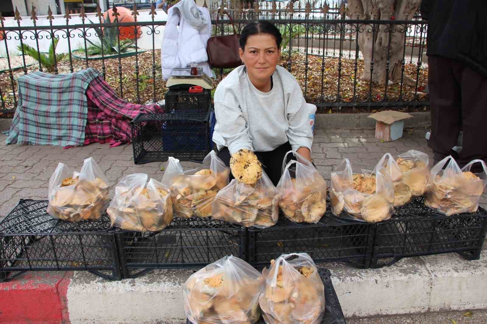 Ormanda sağanak yağmur altında kendiliğinden yetişiyor, kilogramı 350 TL&rsquo;den satılıyor

