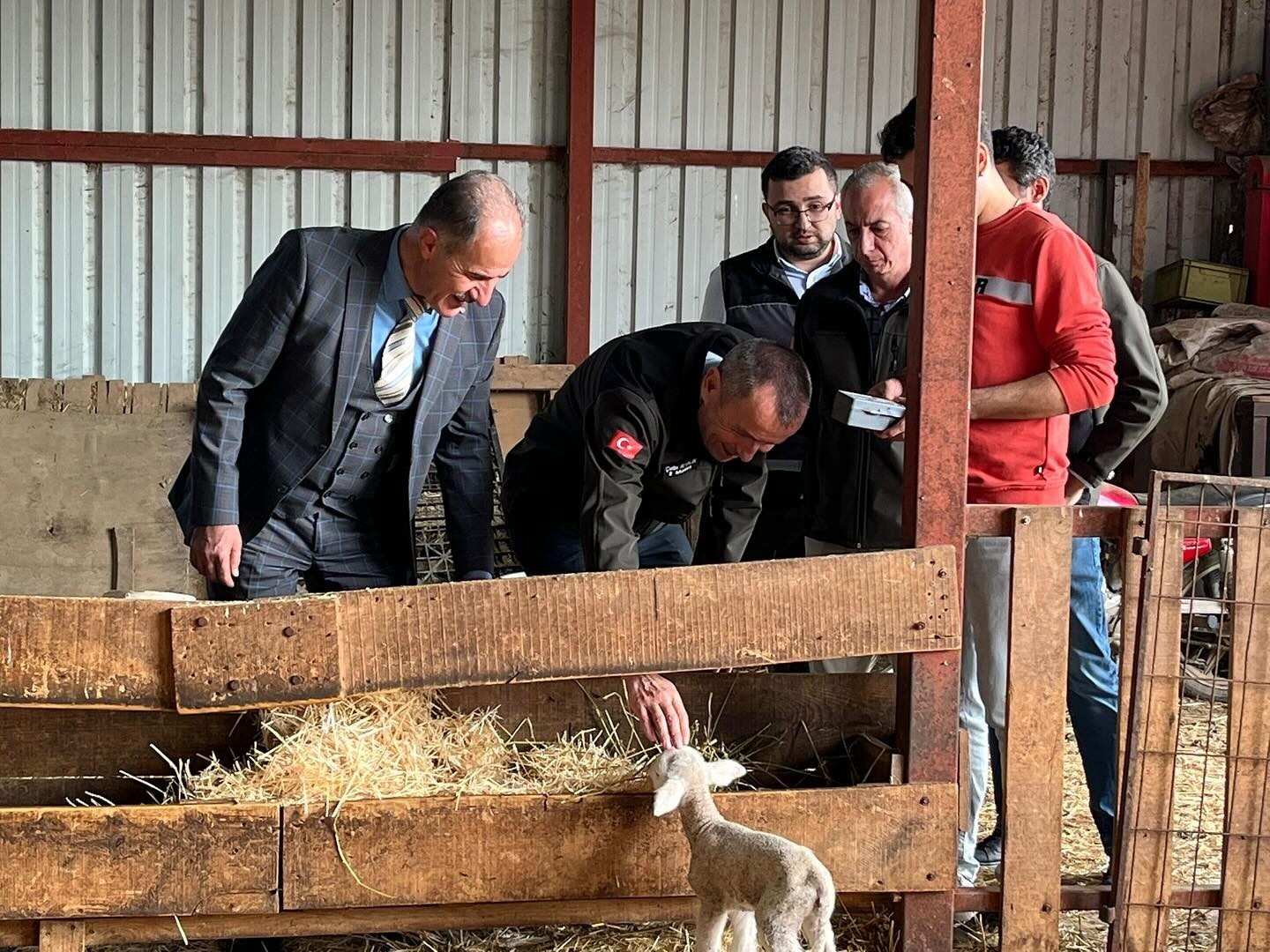 Gen&ccedil; girişimciye y&uuml;zde 100 hibe desteğiyle hayvancılık projesi
