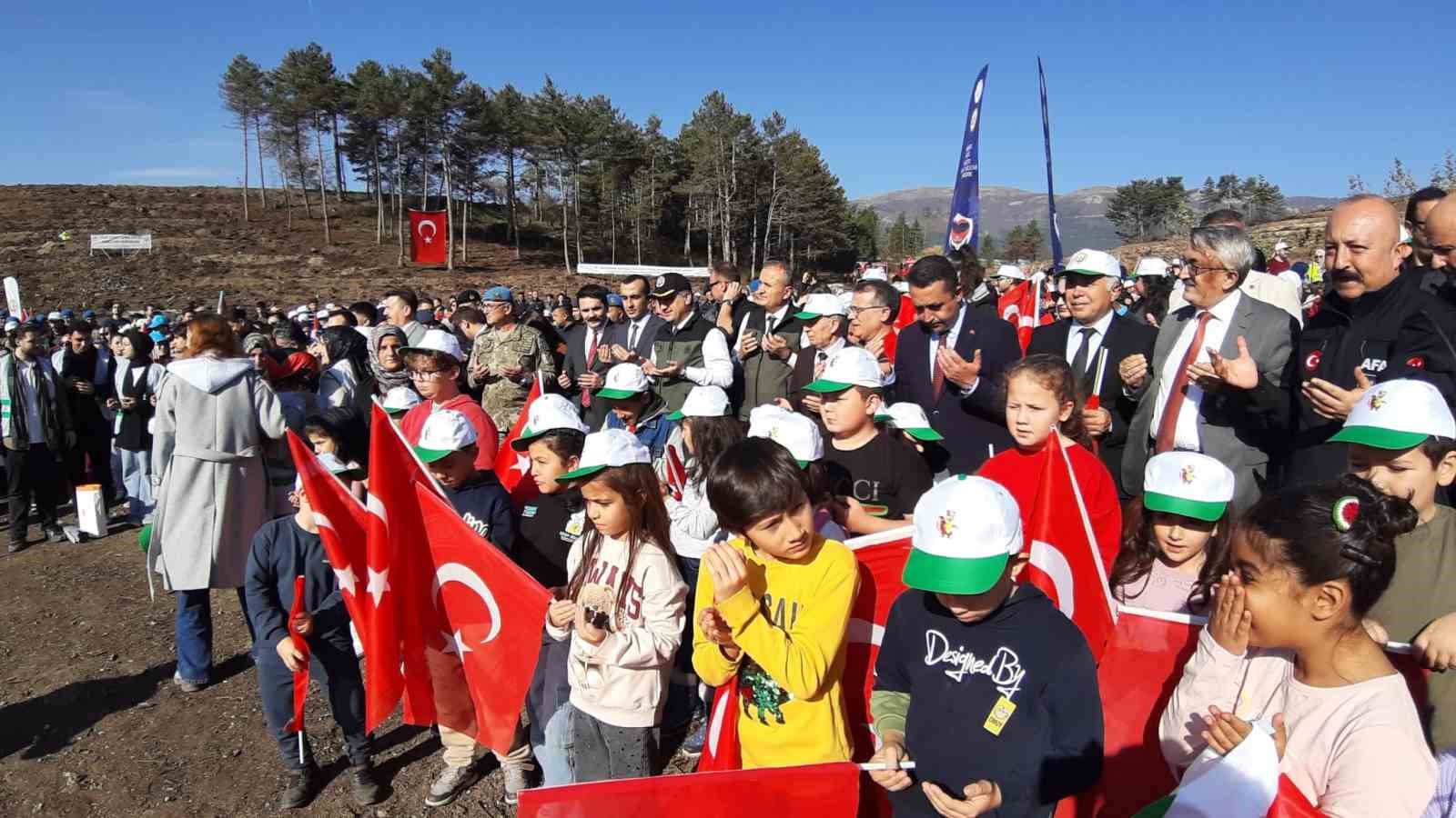 Bolu’da yanan orman yeniden yeşeriyor
