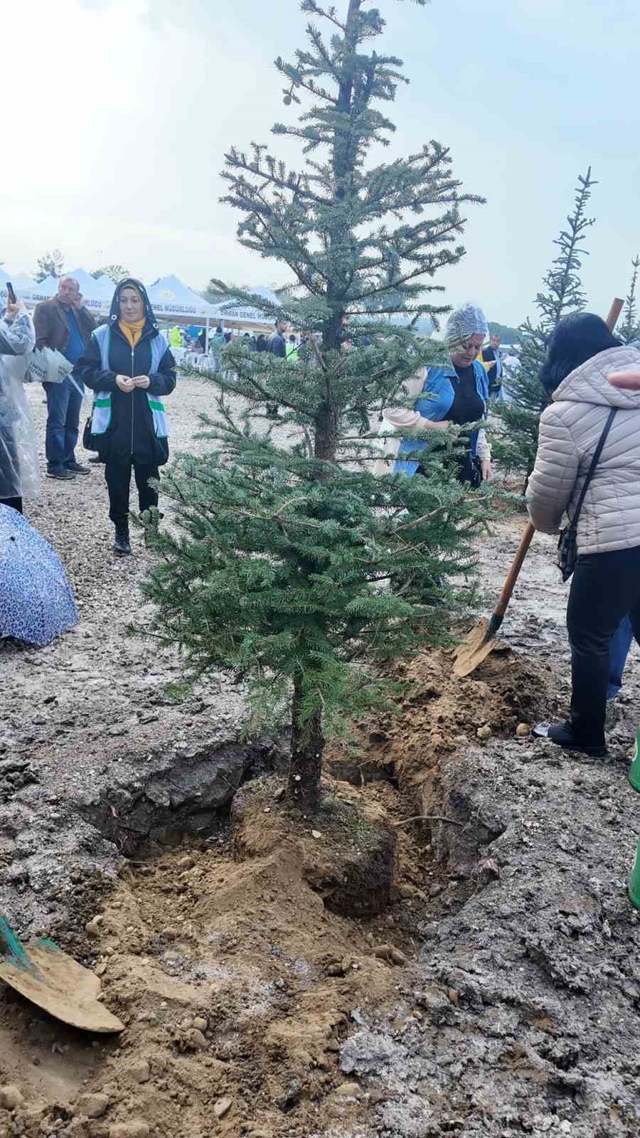 İzmir’de 115 bin fidan toprakla buluştu
