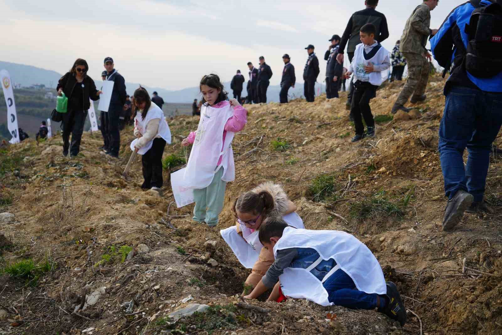 Samsun’da Milli Ağaçlandırma Günü: 37 bin 380 adet fidan toprakla buluştu
