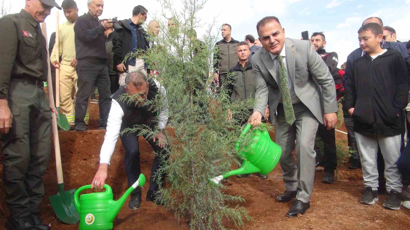 Muğla’da 33 bin fidan toprak ile buluştu