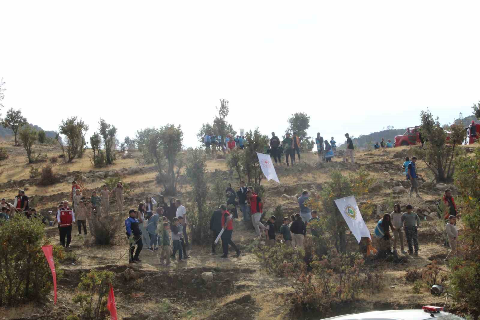 Şırnak’ta "Adliye Hatıra Ormanı" kuruldu