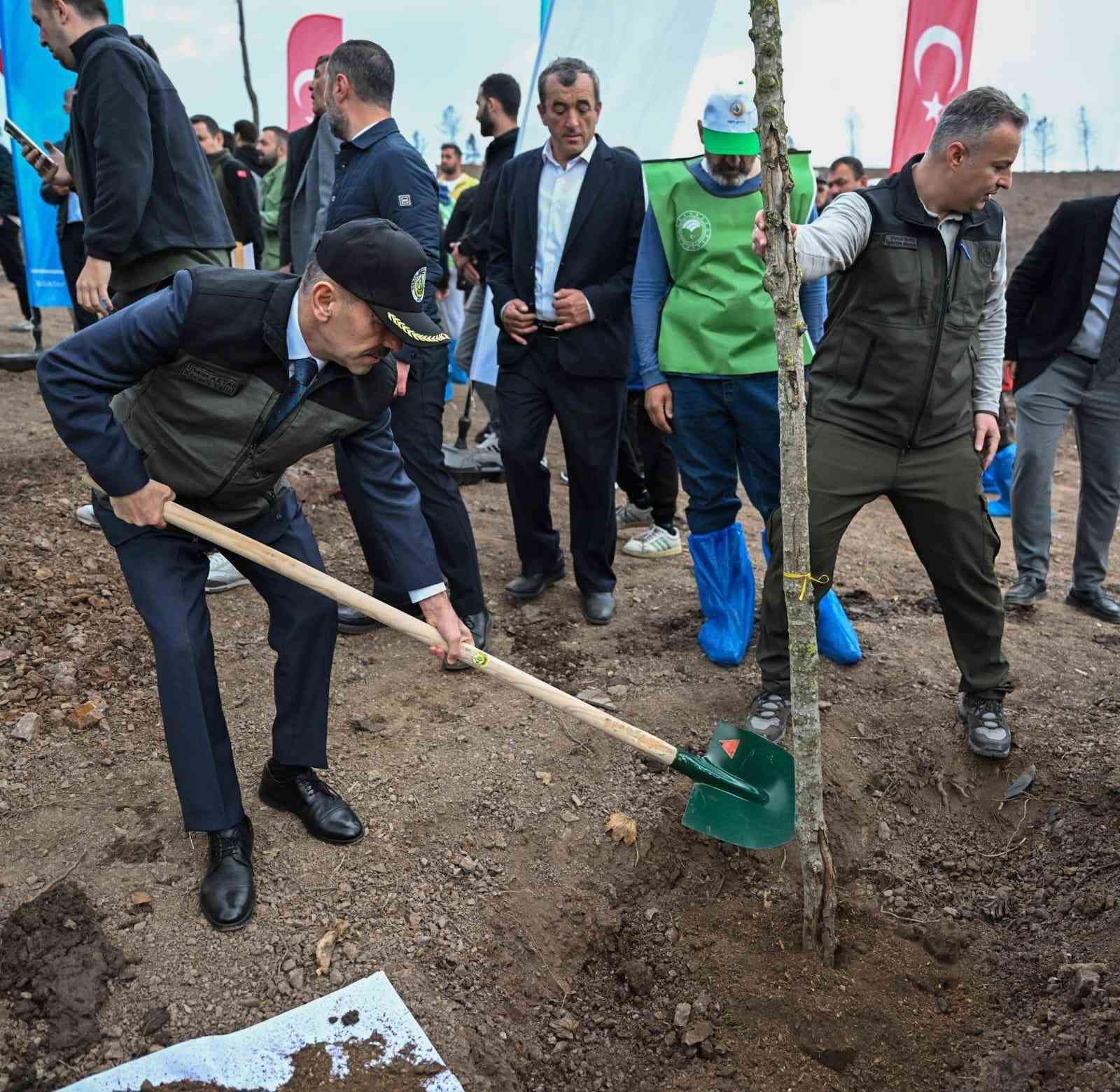 Karamürsel’de yanan bölge 3 bin fidanla yeniden yeşerecek
