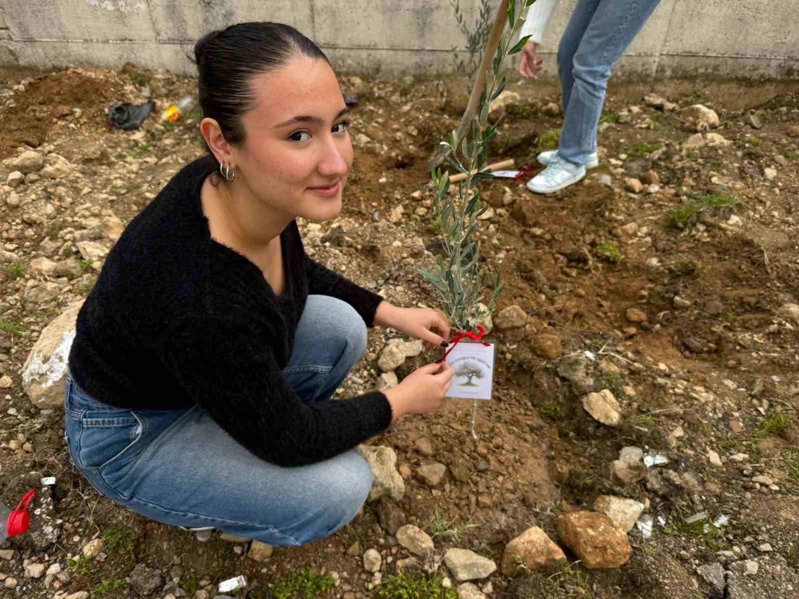 Okul bah&ccedil;esine 60 zeytin fidanı dikildi
