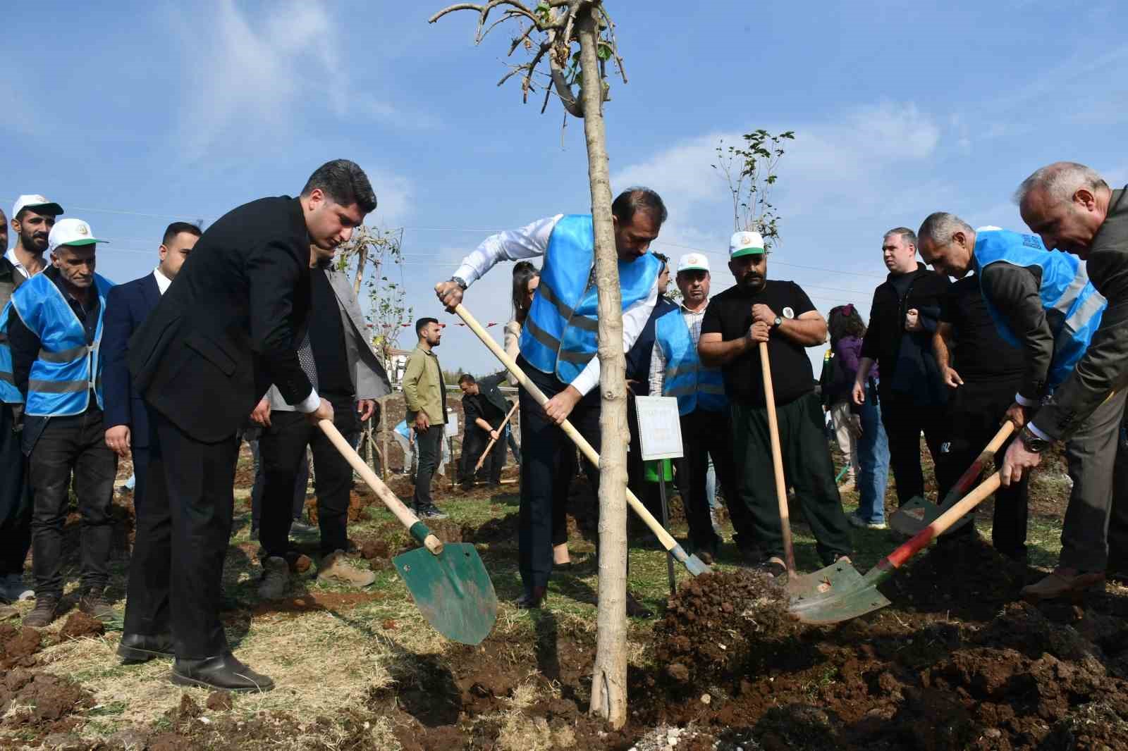 Siverek’te fidanlar geleceğe nefes olacak