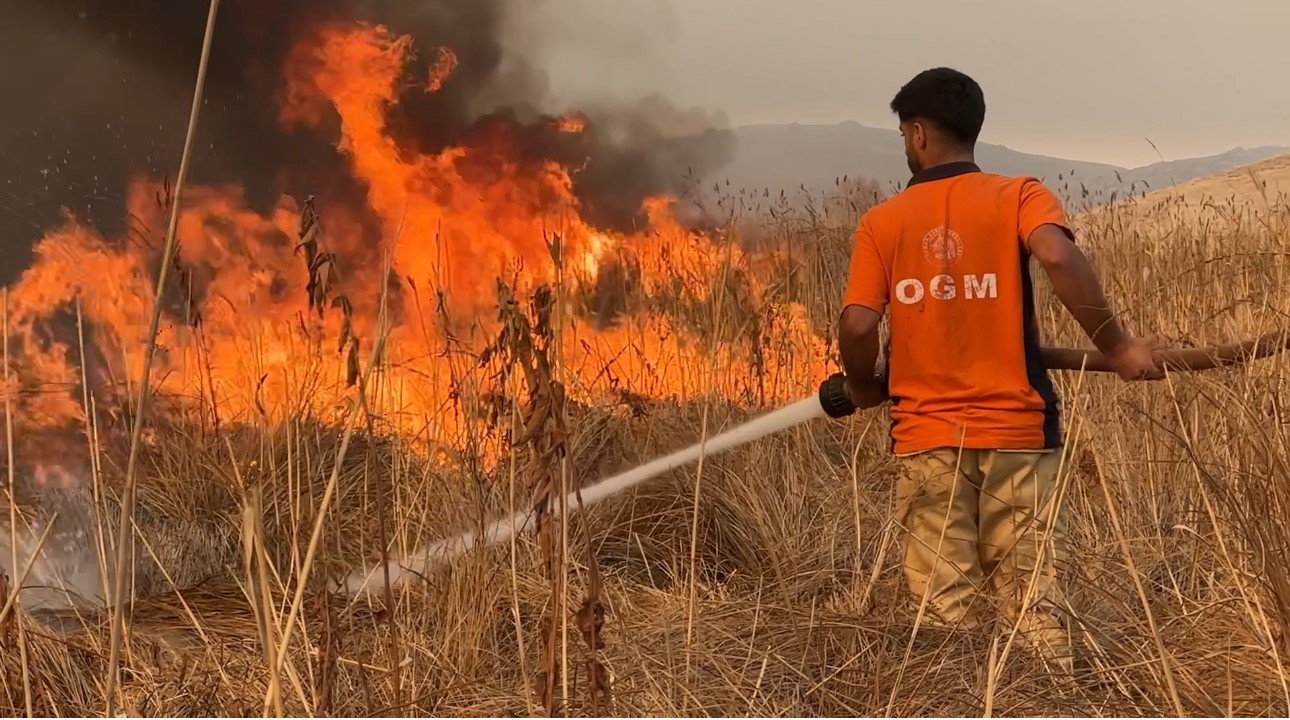 Yüksekova kuş cenneti alevlere teslim: Yangın kontrol altına alınamıyor