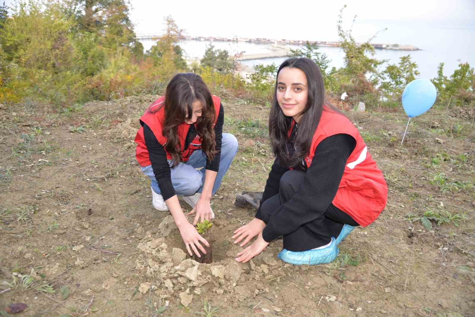 Türkeli’de fidanlar toprakla buluştu
