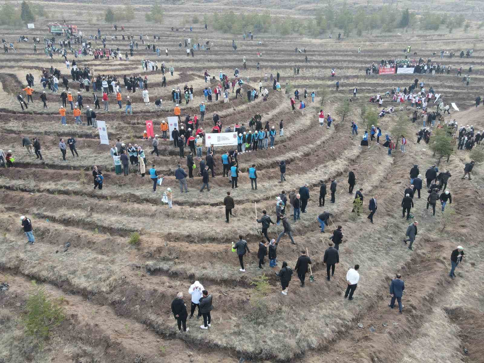Çorum’da binlerce fidan toprakla buluşturuldu