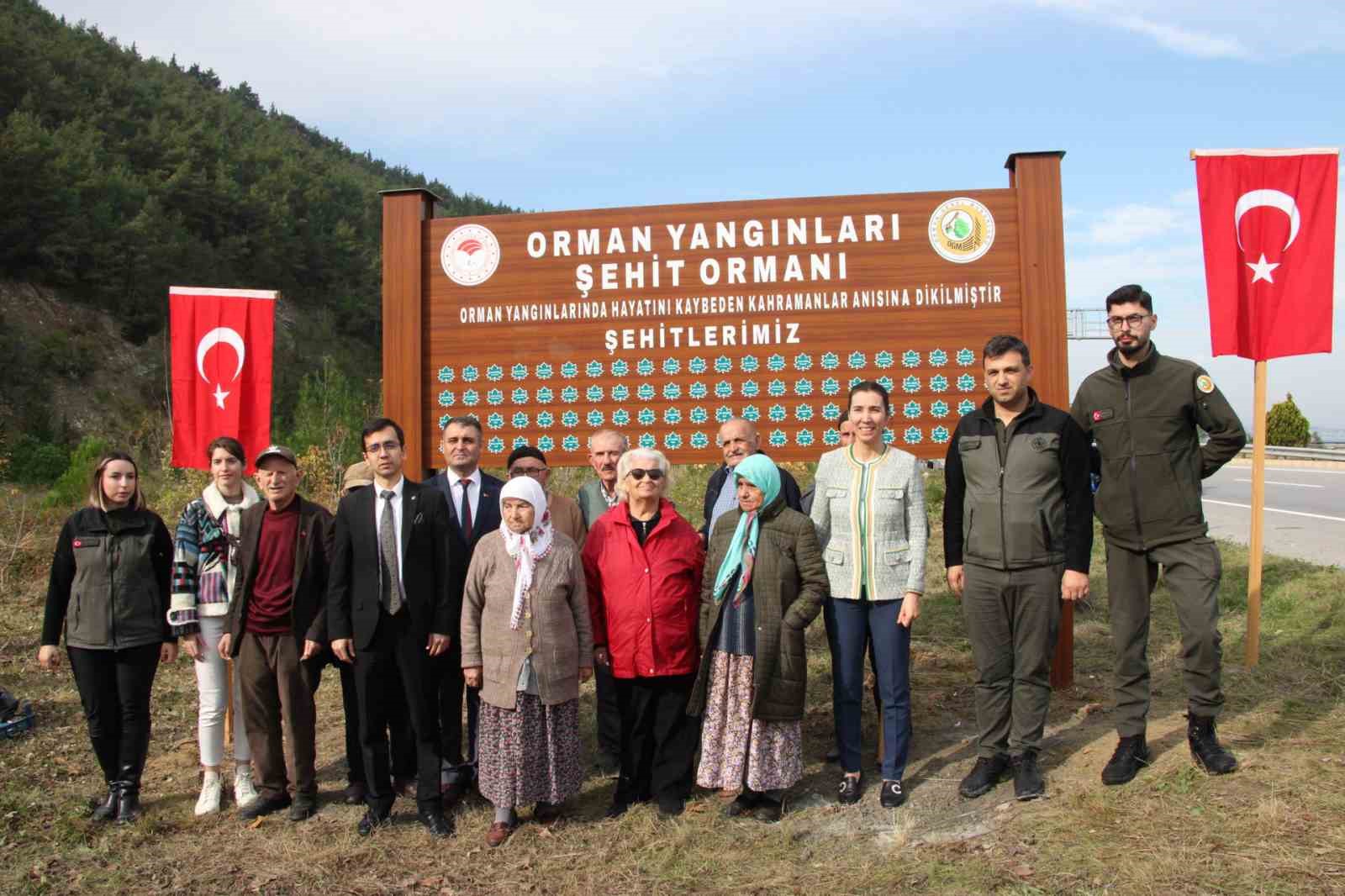 Gerze’de şehit orman görevlileri anısına fidan dikildi
