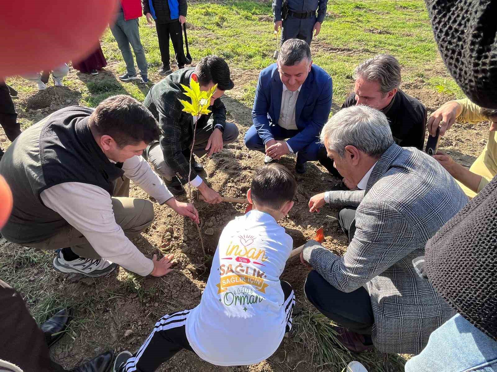 Devrek&rsquo;te fidan dikim programı
