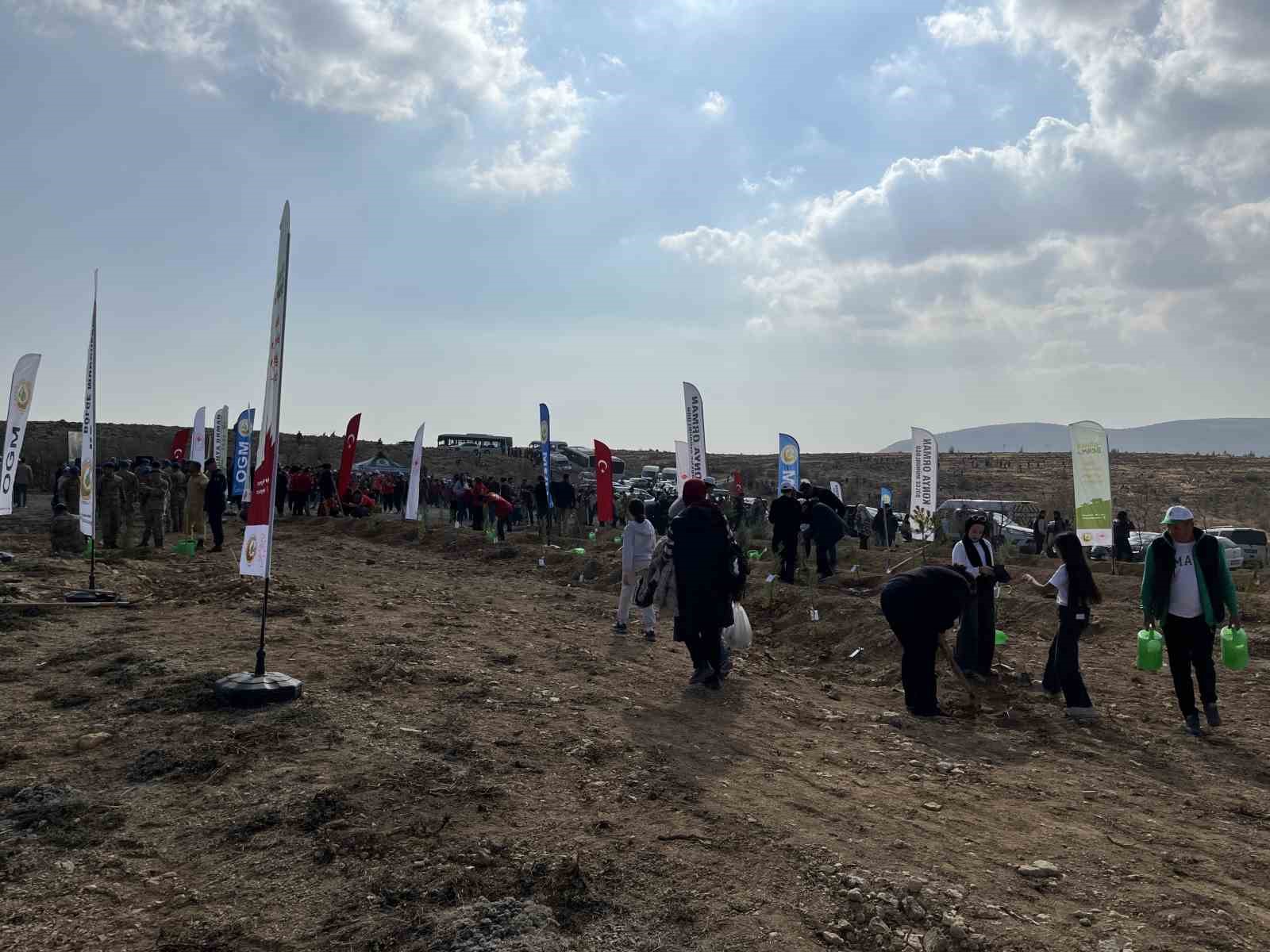 Konya’da 33 bin 811 fidan toprakla buluştu