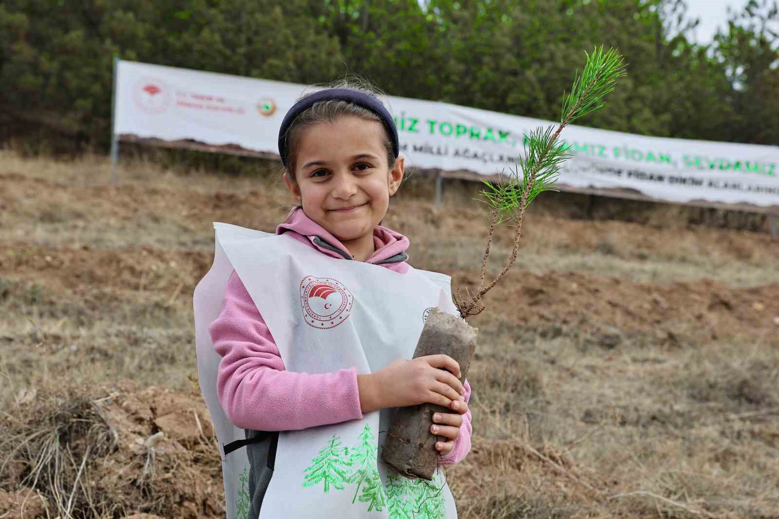 Sivas’ta 90 bin fidan toprakla buluştu