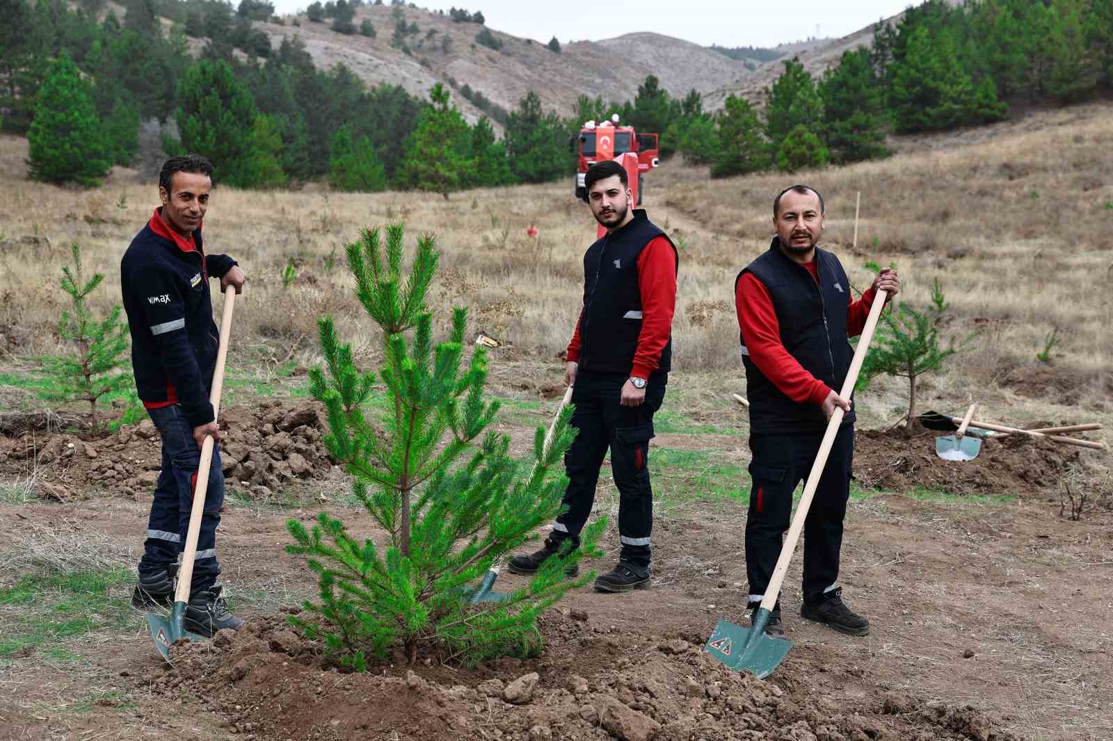 Sivas’ta 90 bin fidan toprakla buluştu