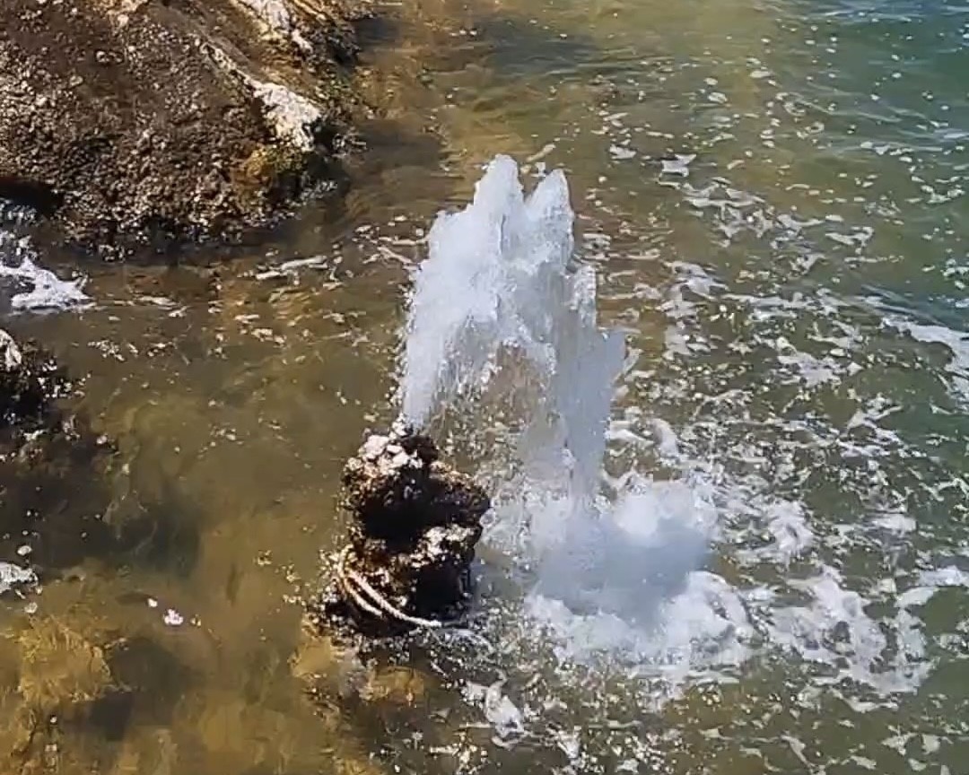 Van Gölü’nde şaşırtan görüntü: Mikrobiyalitten tatlı su fışkırdı