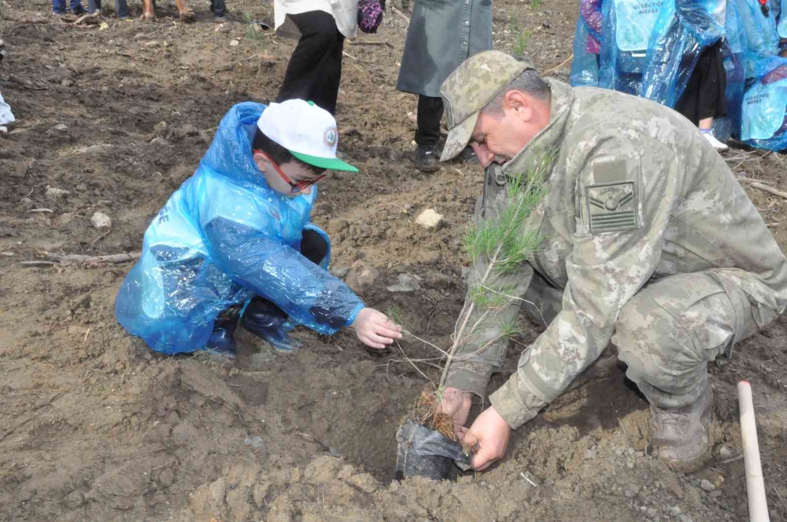 Keşan’da yangından zarar gören ormanlık alana 2 bin çam fidanı dikildi
