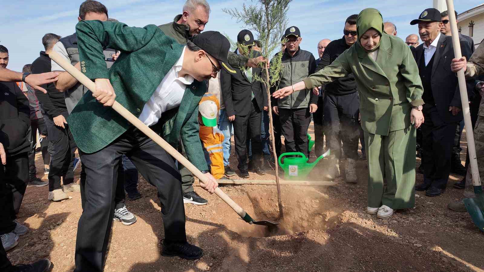 Siirt’te binlerce fidan aynı anda toprakla buluştu