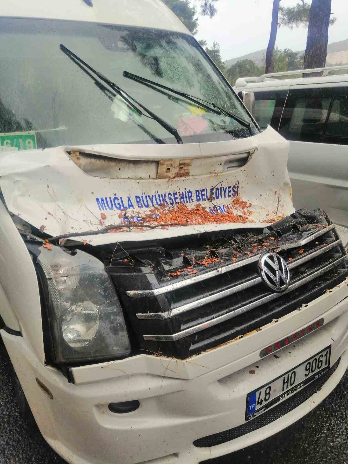 Seyir halindeki minibüsün üstüne ağaç devrildi
