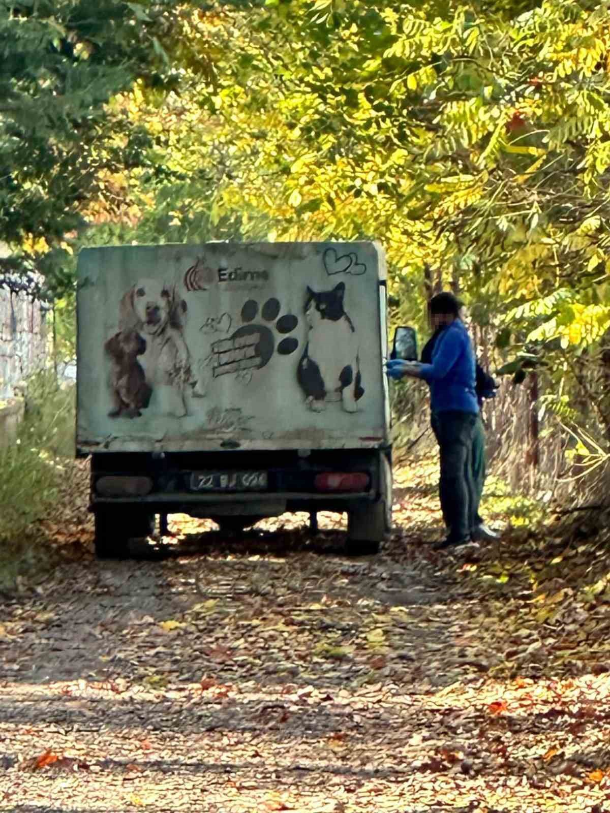 K&ouml;pek toplama g&ouml;r&uuml;nt&uuml;leri tepki &ccedil;ekti
