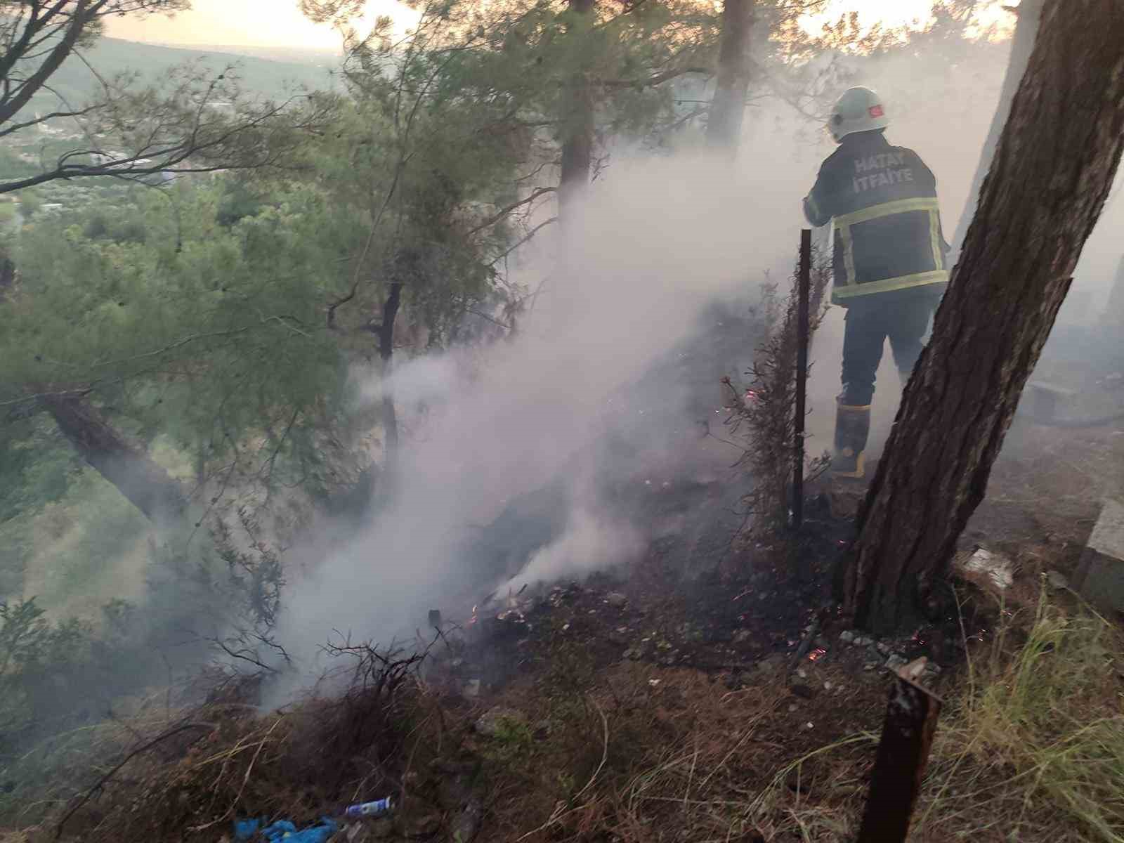 Dörtyol’da ormanlık yangını