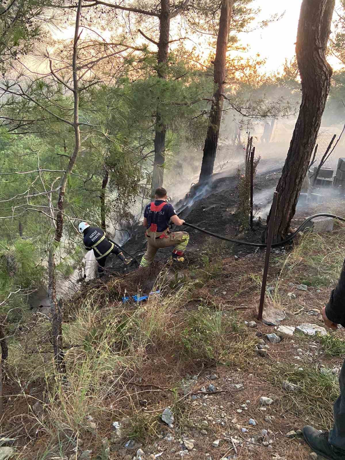 D&ouml;rtyol&rsquo;da ormanlık yangını
