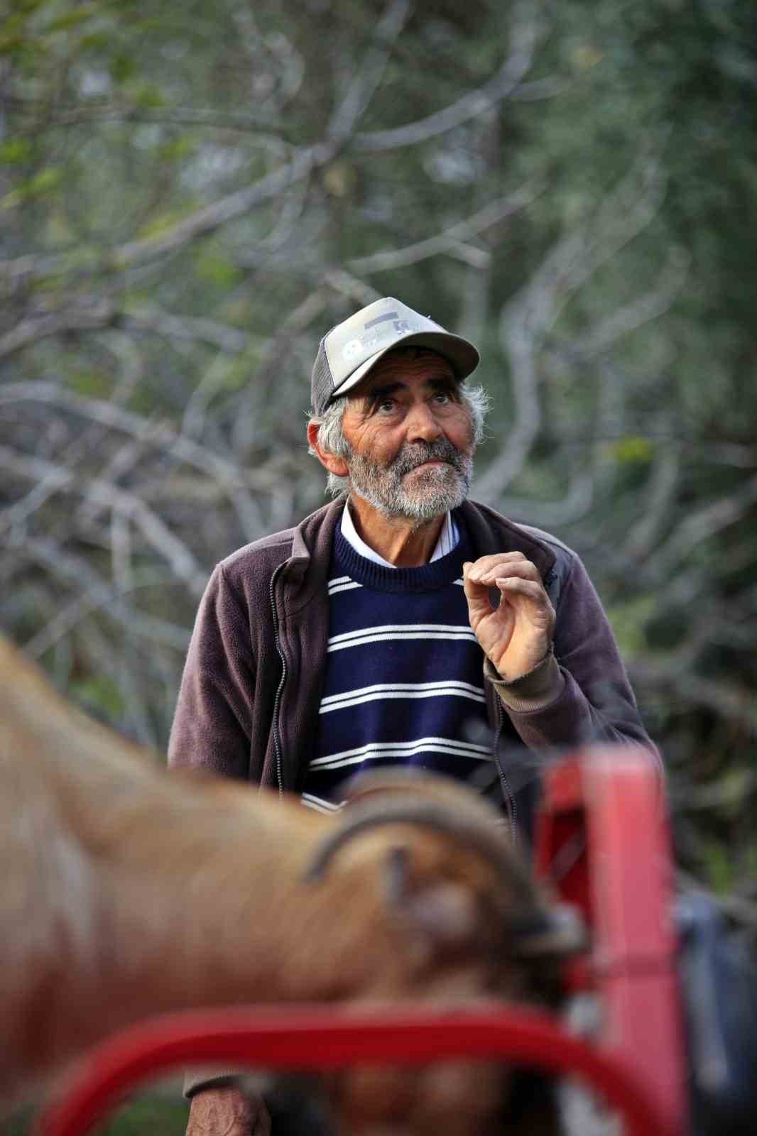 3 keçisini kurtlar yiyen yaşlı adam, mahsur kaldığı uçurumdan kurtarılan son keçisine sarılıp doyasıya öptü