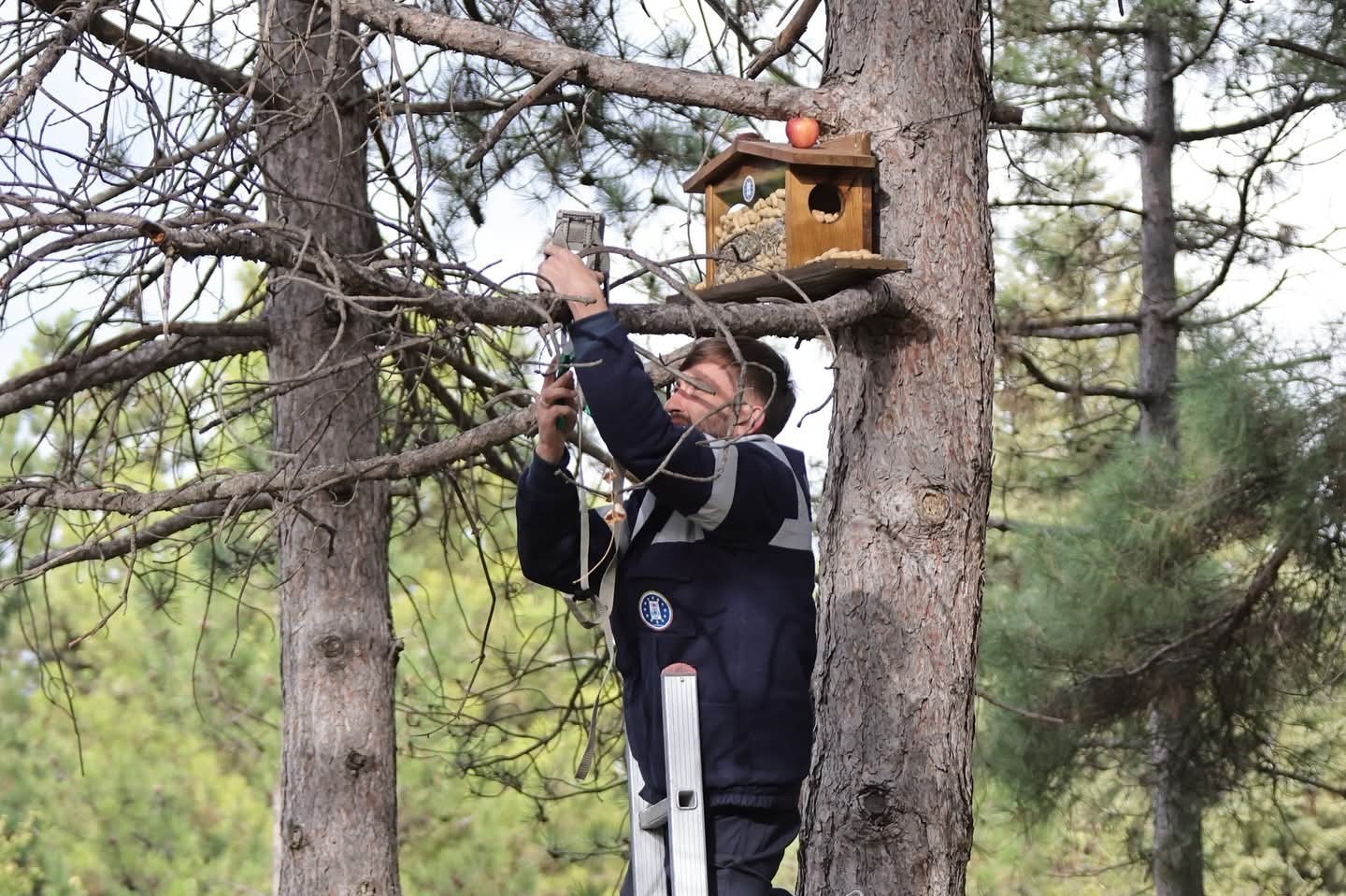 Kütahya Belediyesi’nden sincap ve kuşlara kış esteği