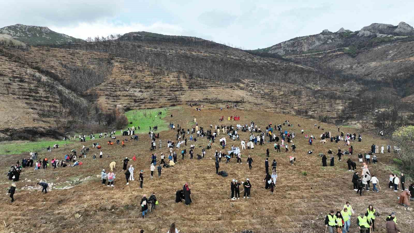 Gürsu tek yürek oldu, binlerce fidanla doldu

