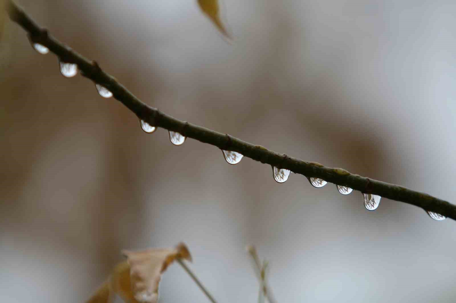 Balıkesir’de ekim yağışında 100 katlık artış