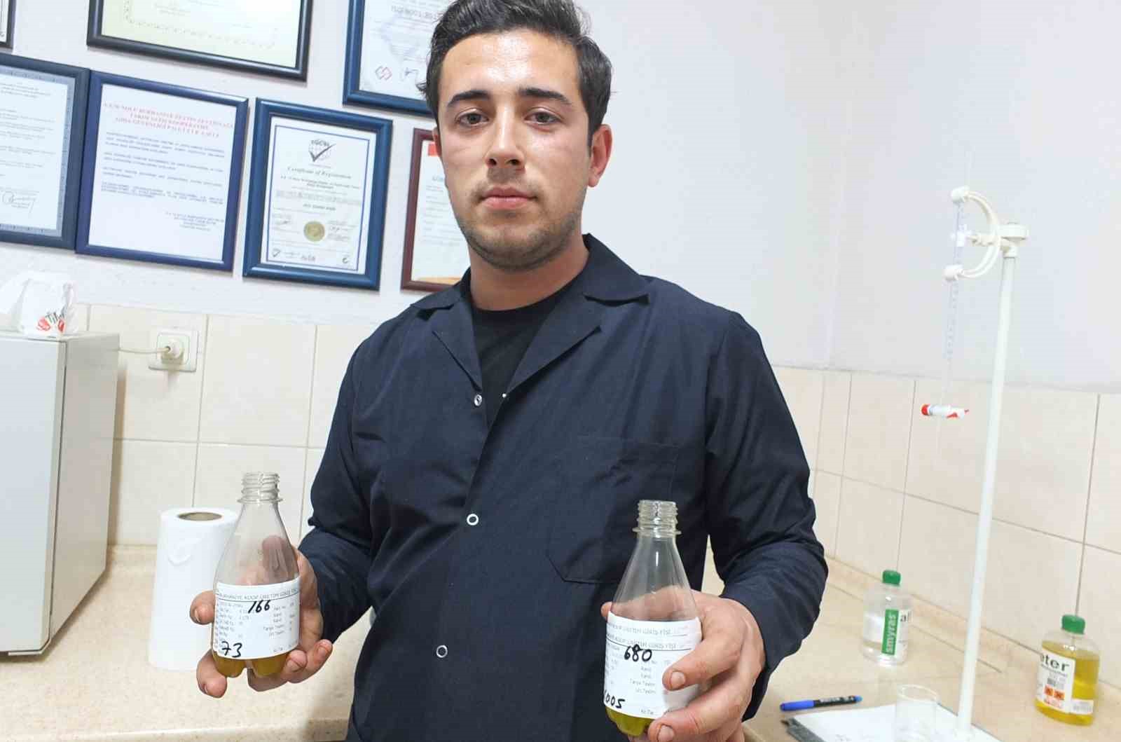 Burhaniye’de zeytinde rekolte düşük, ancak yağda kalite yüksek