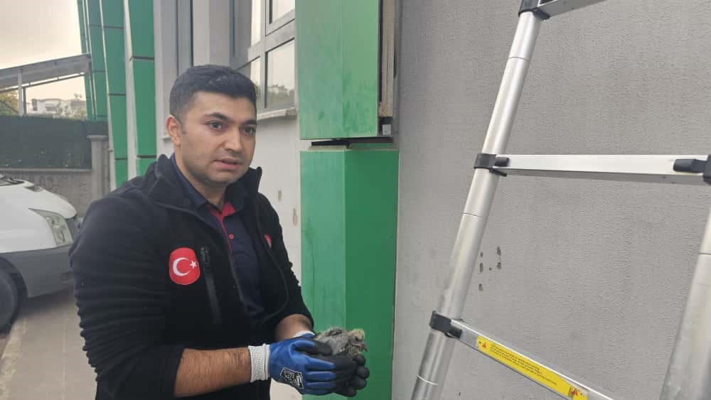 Batman’da kolonlara sıkışan kuş kurtarıldı