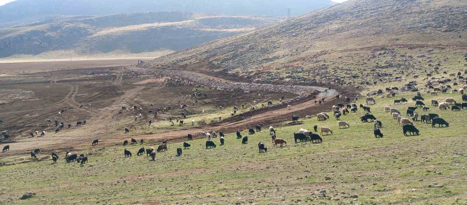 Pervari’deki Zirin Gölü doğal yaşamına kavuşuyor