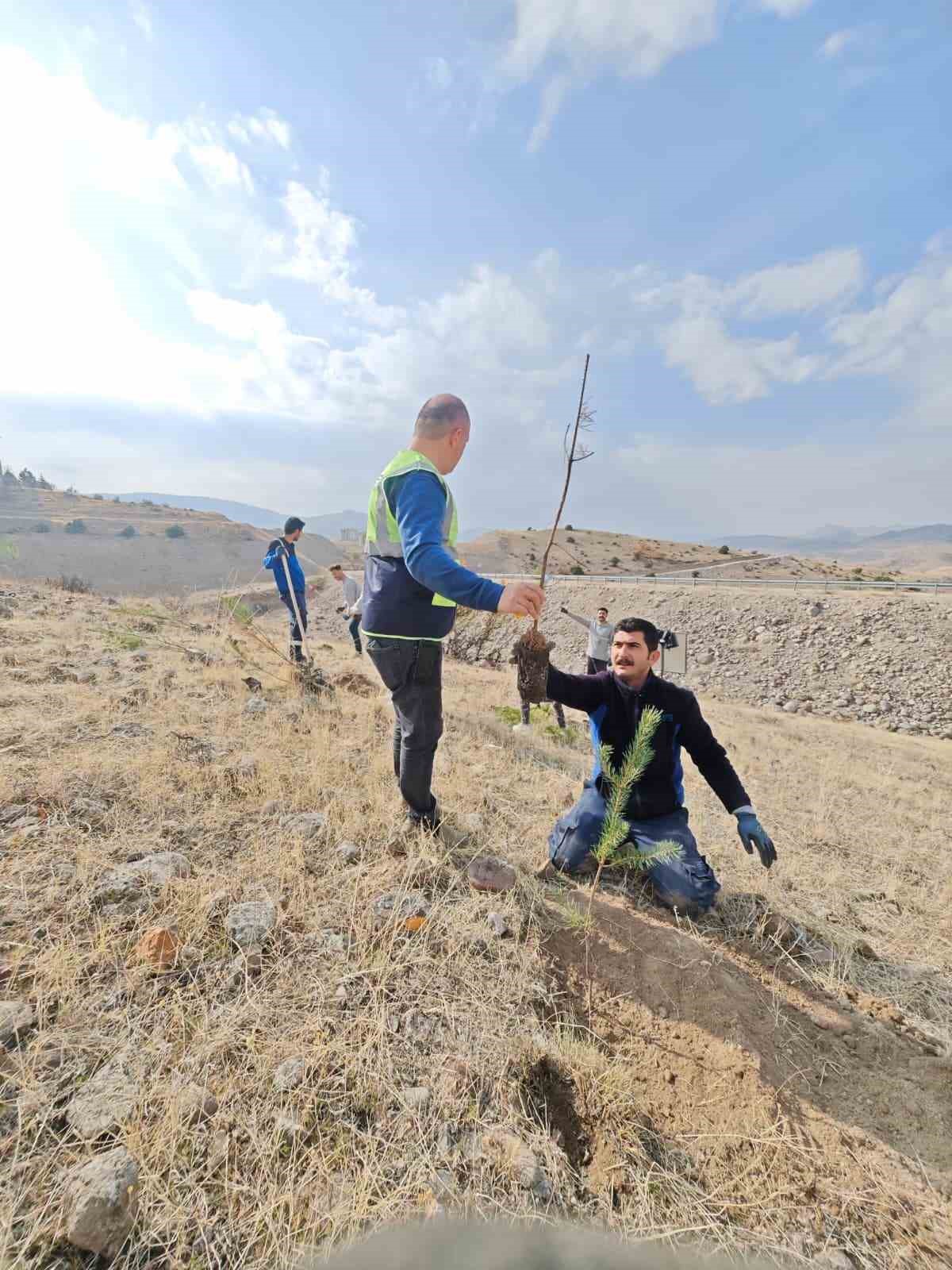 Aras EDAŞ, Milli Ağaçlandırma Günü’nde geleceğe nefes oldu
