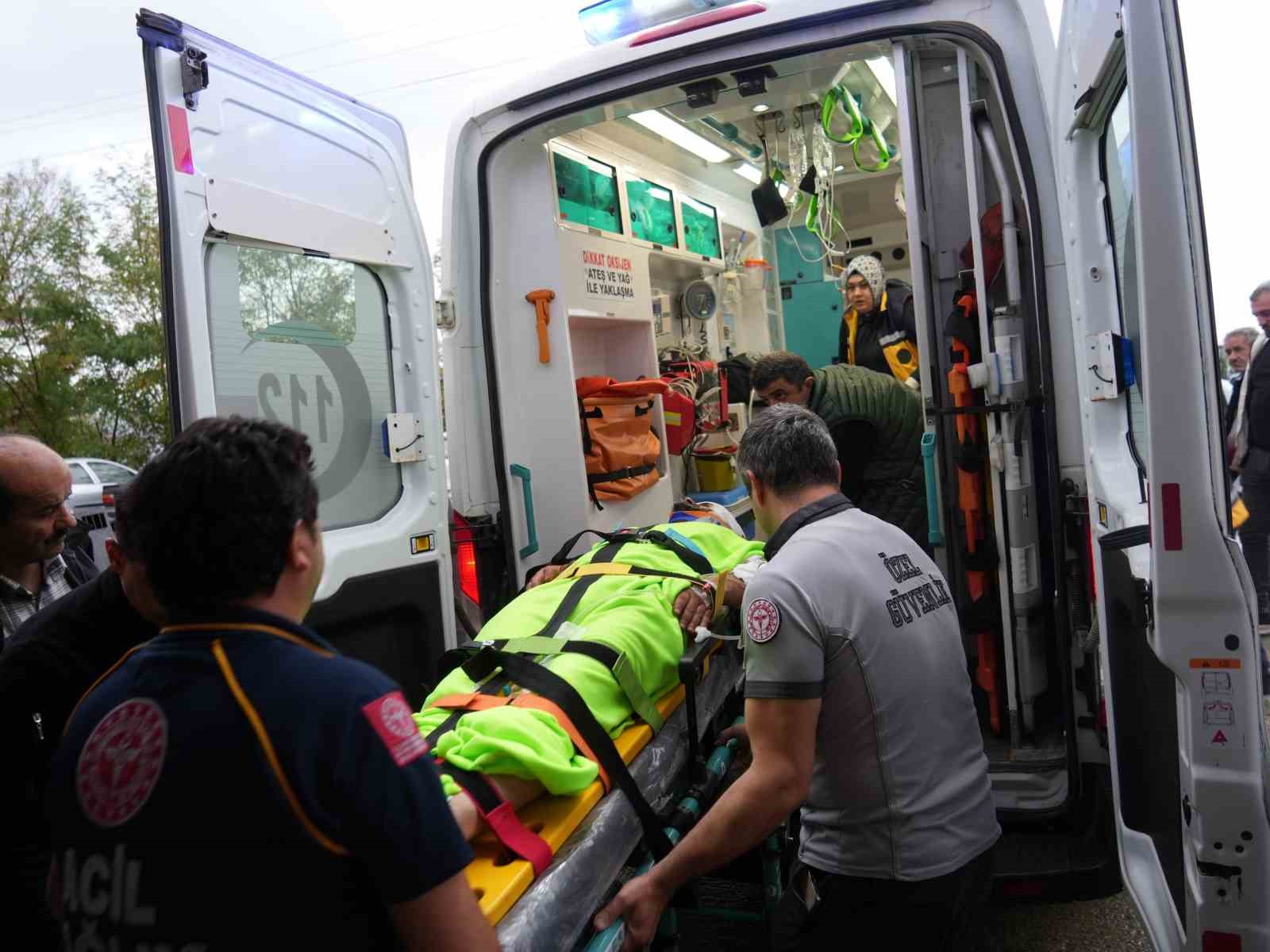 Mantar toplarken ayının saldırısına uğrayan imam yaralandı